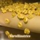 tortellinatrice