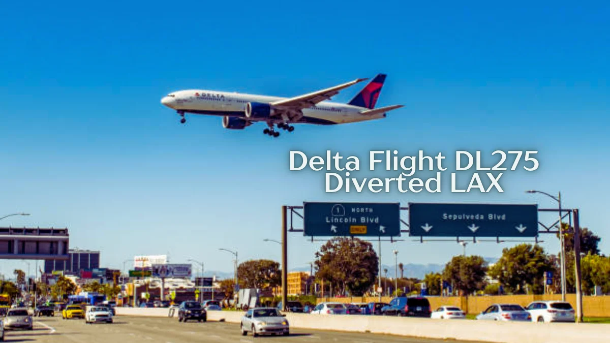 Delta Flight DL275 Diverted LAX