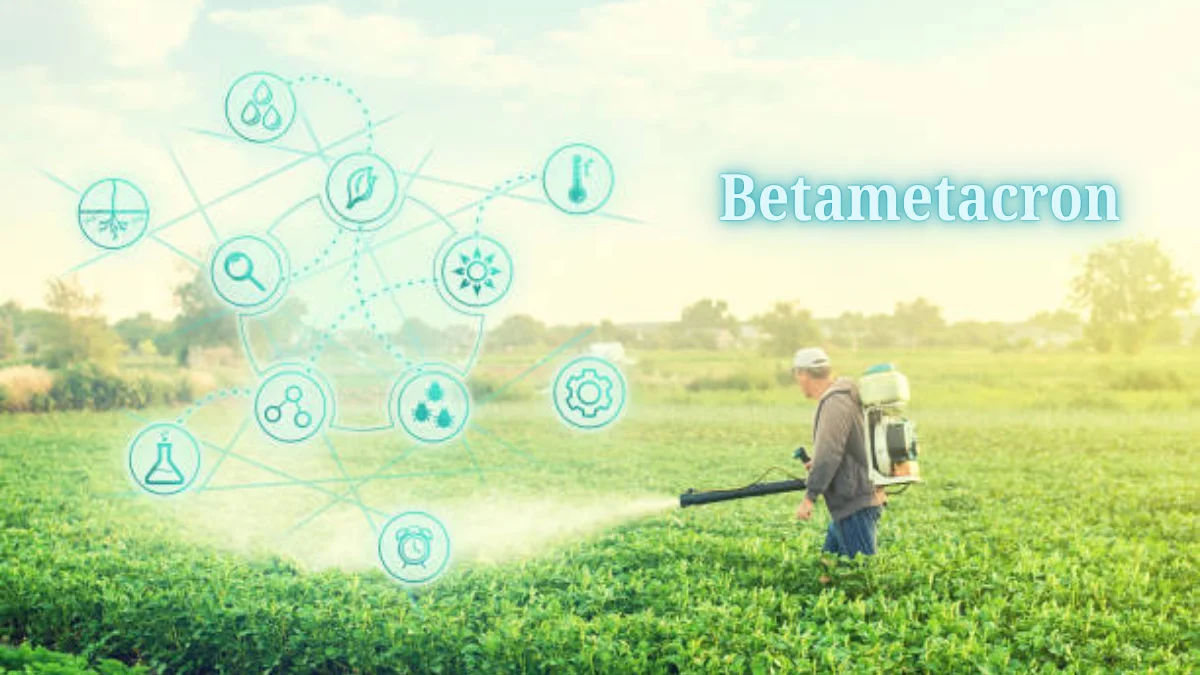 betametacron