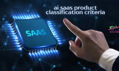 ai saas product classification criteria