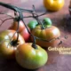 Gebakken Groene Tomaten