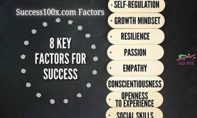 Success100x.com Factors