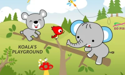 koala's playground