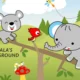 koala's playground