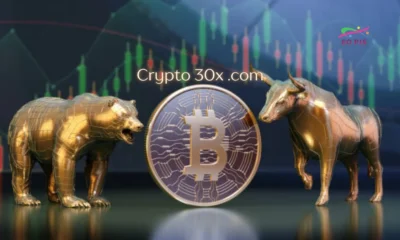 crypto 30x .com
