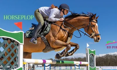 horseplop
