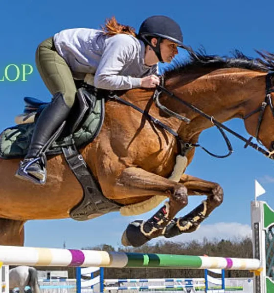 horseplop