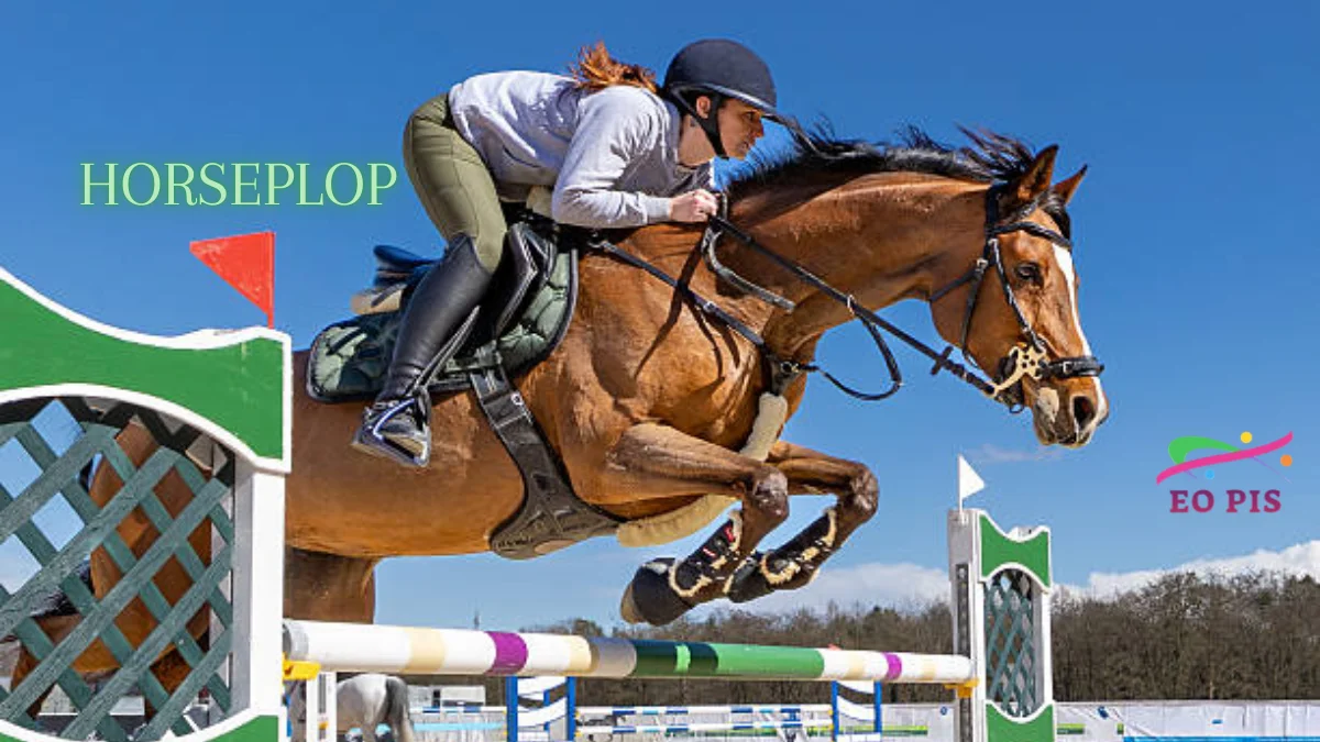 horseplop