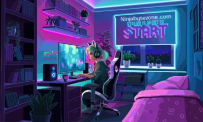 ninjabytezone .com