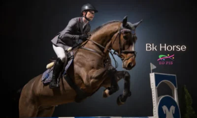 bk horse