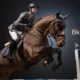 bk horse