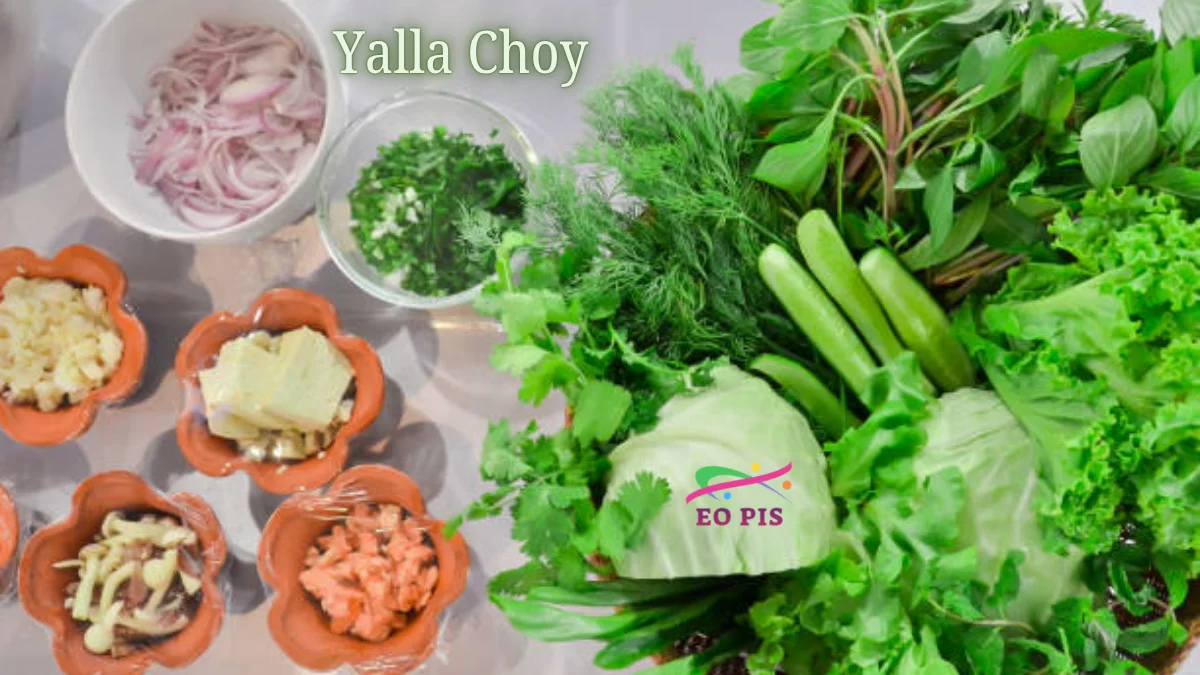 yalla choy