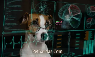 Pet5ardas Com