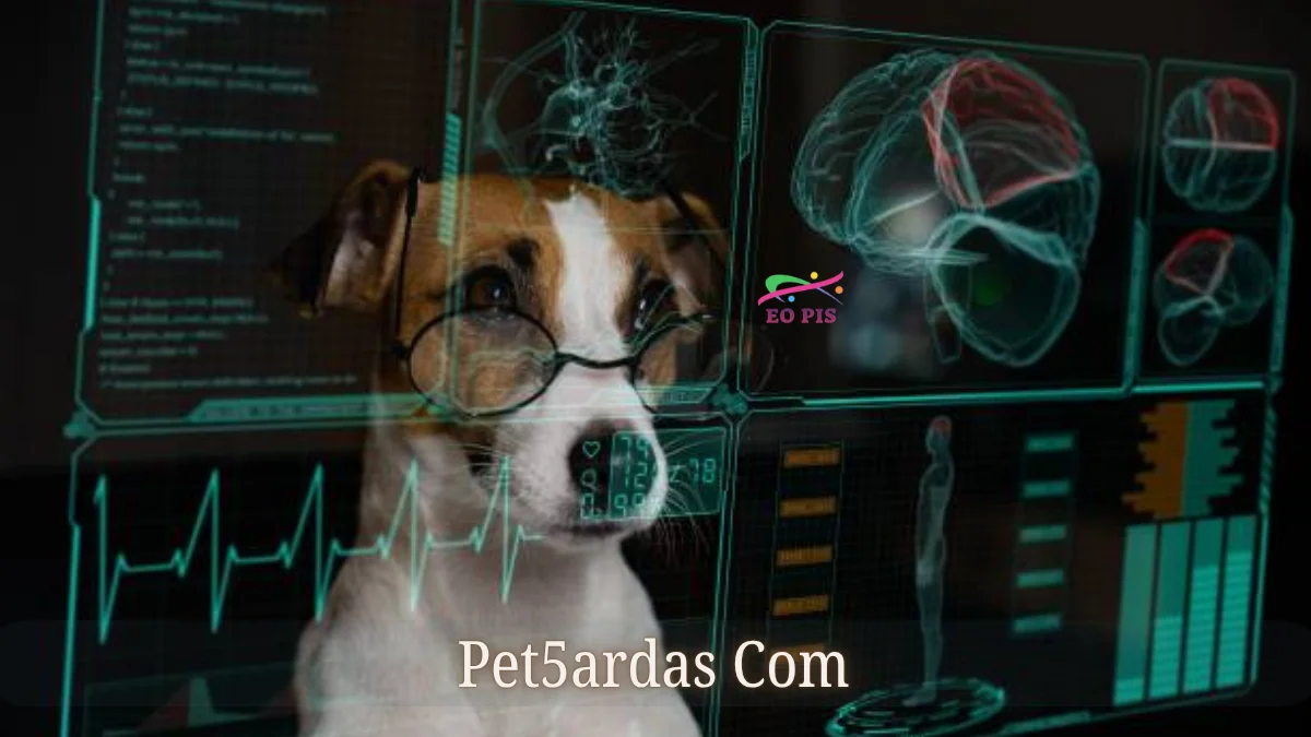Pet5ardas Com