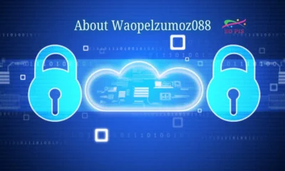 about waopelzumoz088
