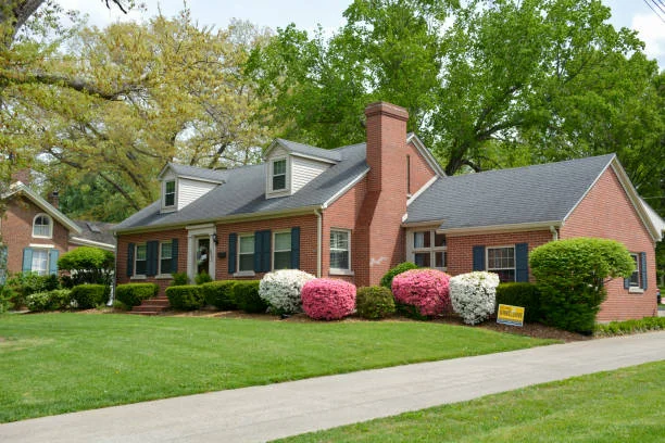 Roof Repair and Curb Appeal