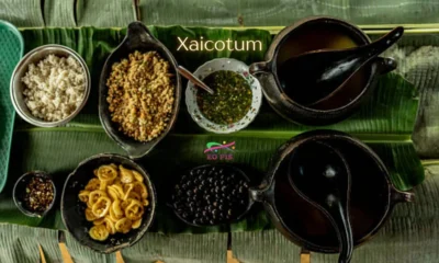 xaicotum