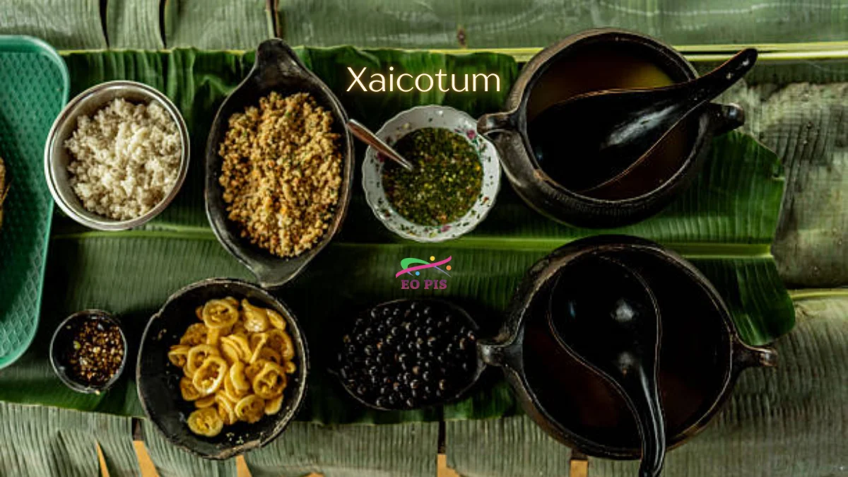 xaicotum