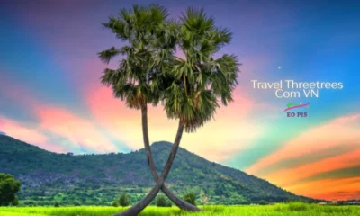 Travel Threetrees Com VN