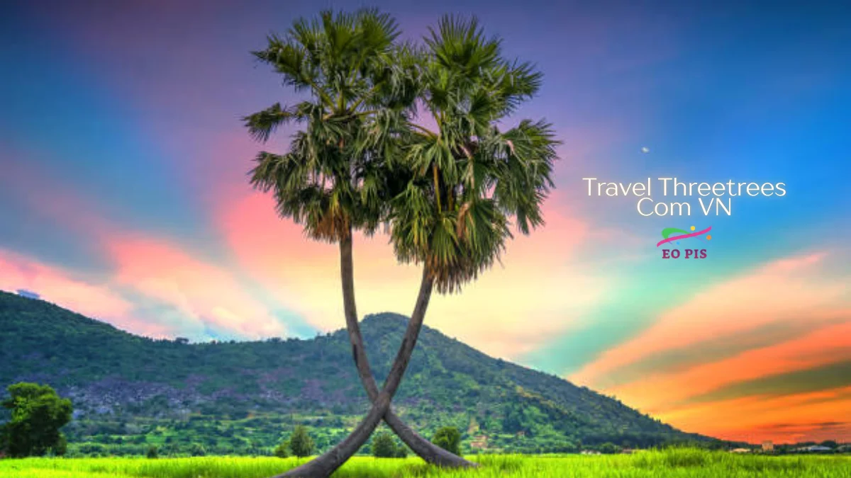Travel Threetrees Com VN