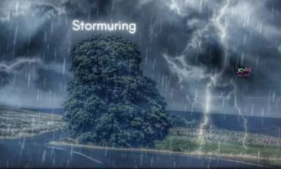 stormuring
