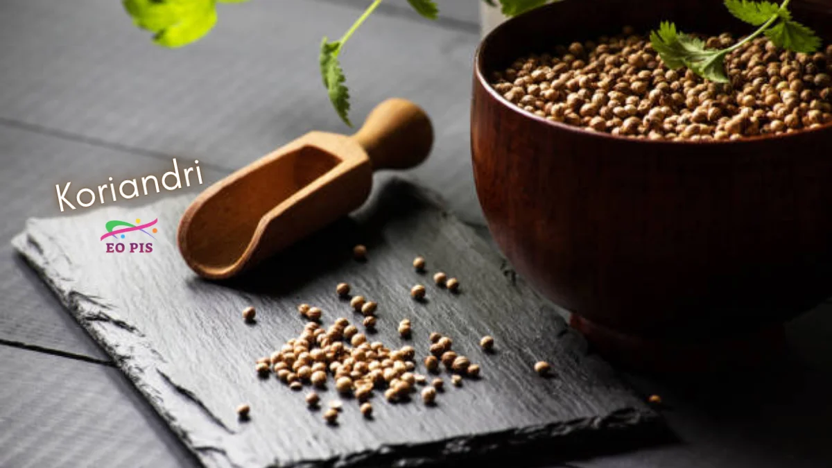 koriandri